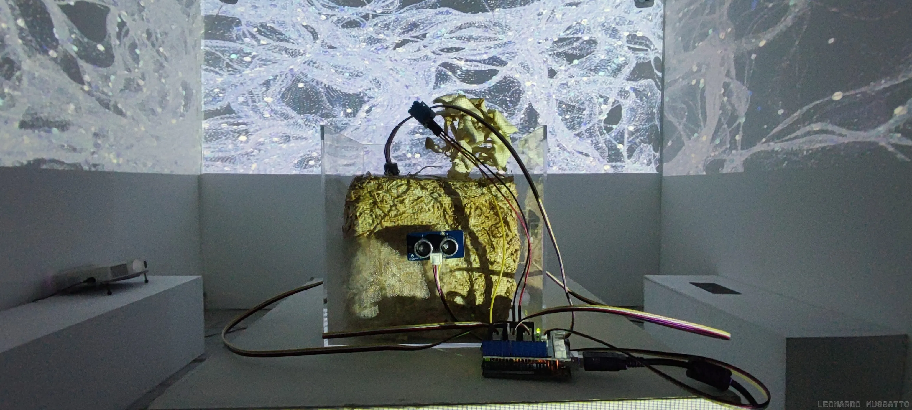 Closeup of the mushroom and the microprocessor board