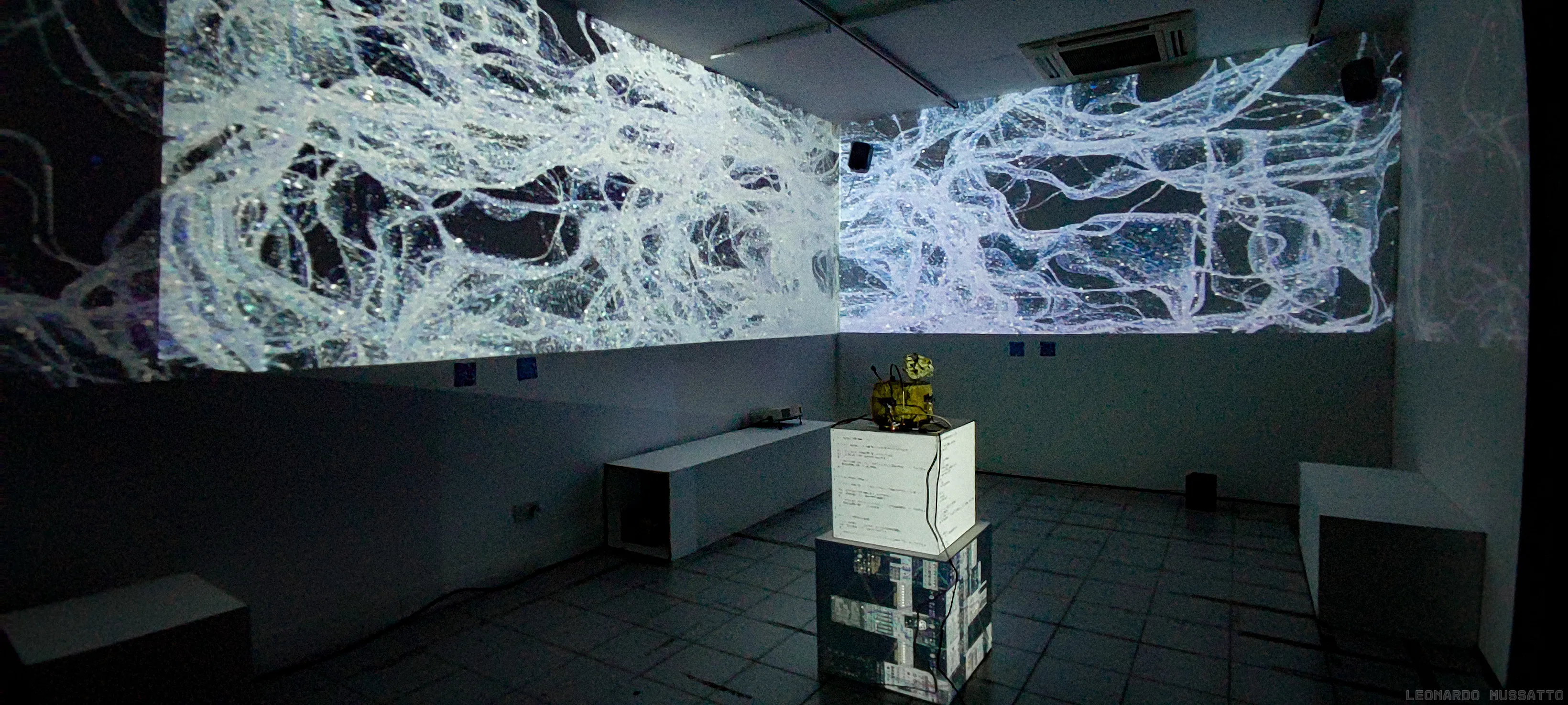 Final seamless projection